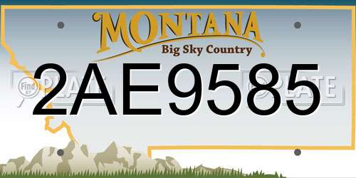 2AE9585 Montana License Plate