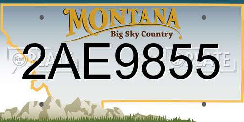 2AE9855 Montana License Plate