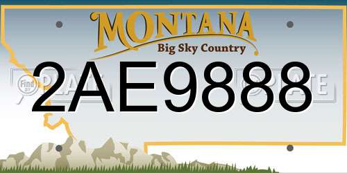 2AE9888 Montana License Plate