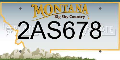 2AS678 Montana License Plate