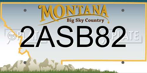 2ASB82 Montana License Plate