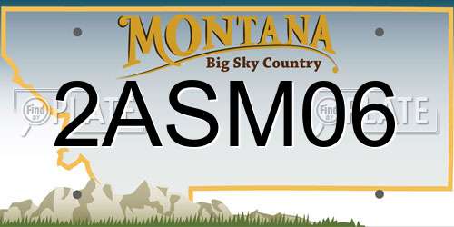 2ASM06 Montana License Plate