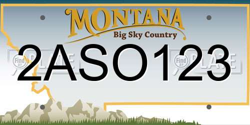 2ASO123 Montana License Plate