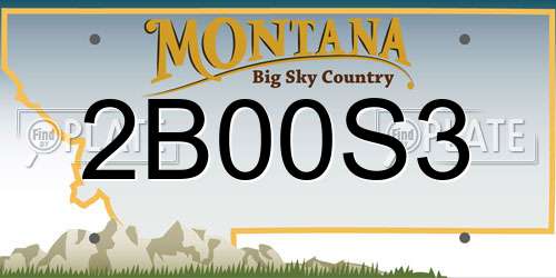 2B00S3 Montana License Plate