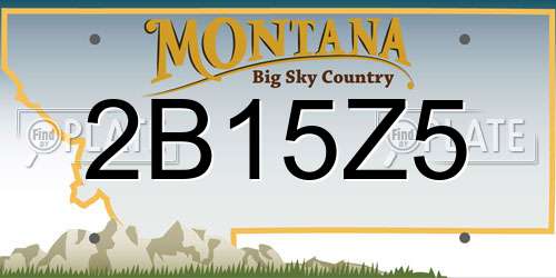 2B15Z5 Montana License Plate