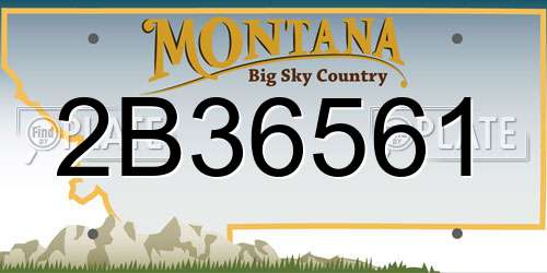 2B36561 Montana License Plate