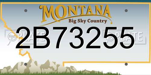 2B73255 Montana License Plate