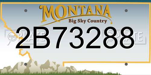 2B73288 Montana License Plate