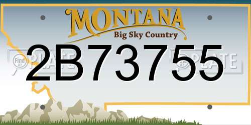 2B73755 Montana License Plate