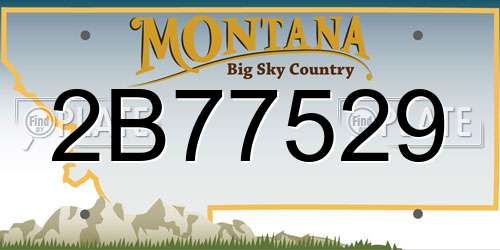 2B77529 Montana License Plate