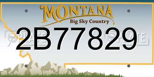 2B77829 Montana License Plate