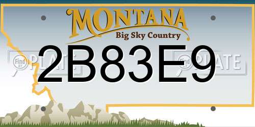 2B83E9 Montana License Plate