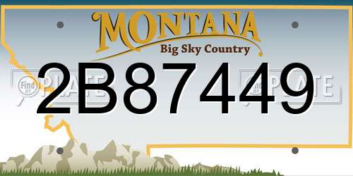 2B87449 Montana License Plate