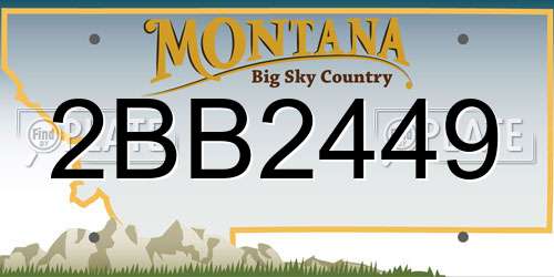 2BB2449 Montana License Plate