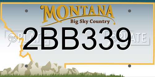 2BB339 Montana License Plate