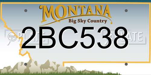 2BC538 Montana License Plate