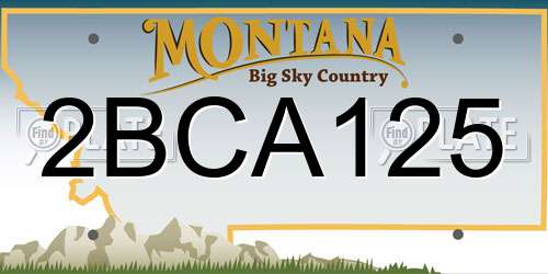 2BCA125 Montana License Plate