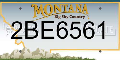 2BE6561 Montana License Plate