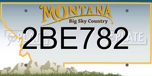 2BE782 Montana License Plate