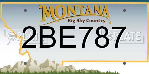 2BE787 Montana License Plate