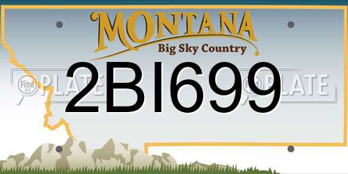 2BI699 Montana License Plate