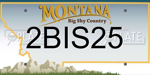 2BIS25 Montana License Plate