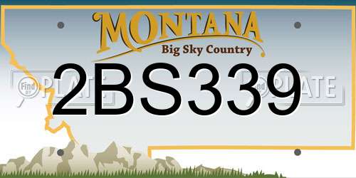 2BS339 Montana License Plate
