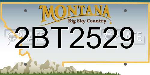 2BT2529 Montana License Plate