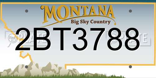 2BT3788 Montana License Plate