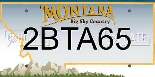 2BTA65 Montana License Plate