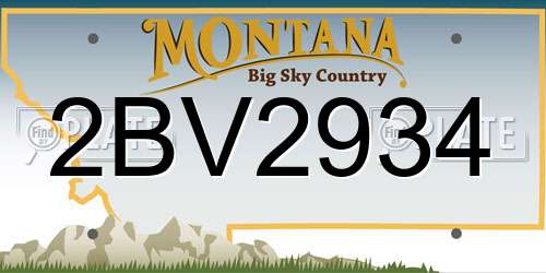 2BV2934 Montana License Plate