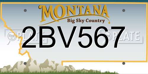 2BV567 Montana License Plate