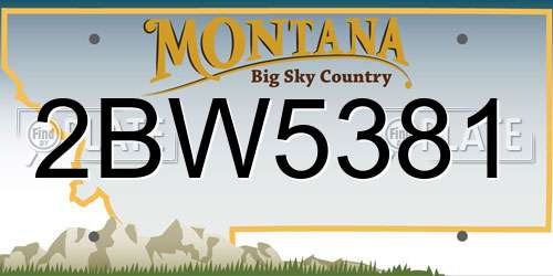 2BW5381 Montana License Plate