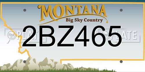 2BZ465 Montana License Plate