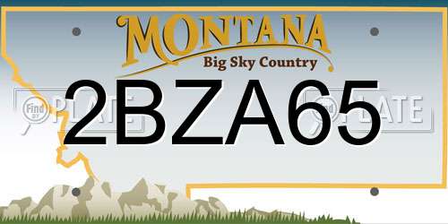 2BZA65 Montana License Plate