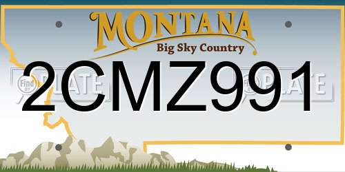 2CMZ991 Montana License Plate
