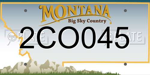 2CO045 Montana License Plate