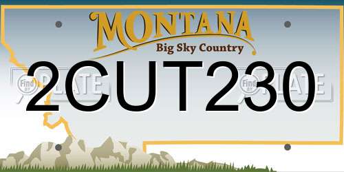 2CUT230 Montana License Plate
