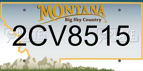 2CV8515 Montana License Plate