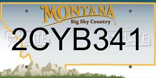 2CYB341 Montana License Plate