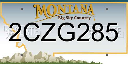 2CZG285 Montana License Plate