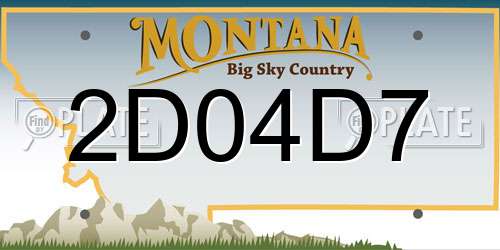 2D04D7 Montana License Plate