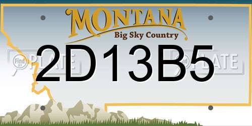 2D13B5 Montana License Plate