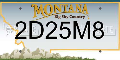 2D25M8 Montana License Plate