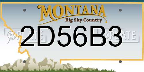 2D56B3 Montana License Plate