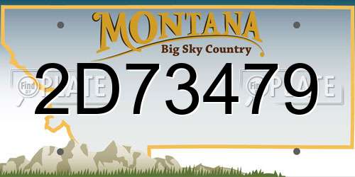 2D73479 Montana License Plate