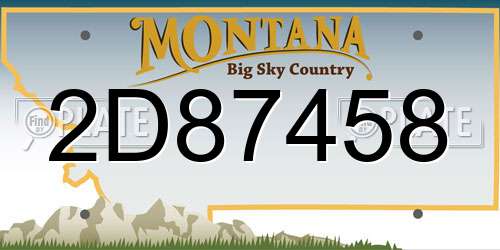 2D87458 Montana License Plate