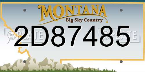 2D87485 Montana License Plate