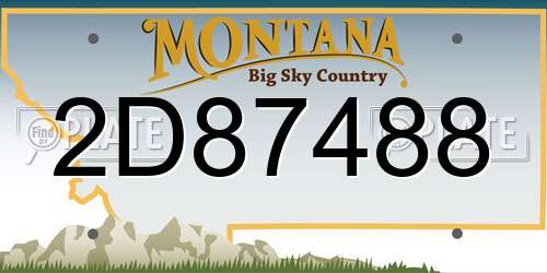 2D87488 Montana License Plate