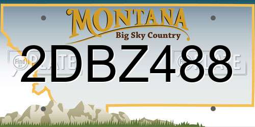 2DBZ488 Montana License Plate
